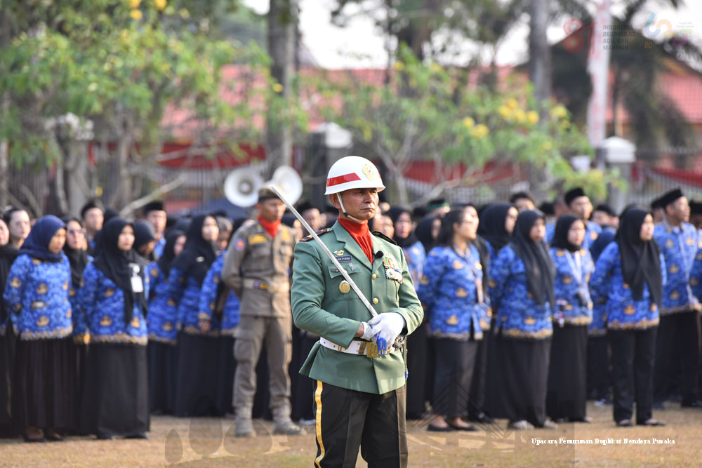 image-content