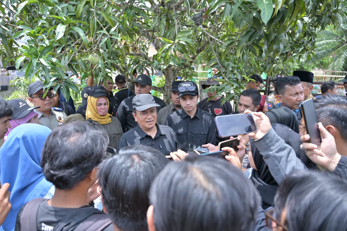 image-content