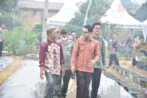 cover Wawako Diza Launching Agrobiopori, Dorong Urban Farming dan Ketahanan Pangan di Kota Jambi