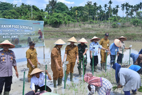 cover Dukung Asta Cita Presiden, Wawako Diza Pimpin Aksi Tanam Padi Serentak di 10 Hektar Sawah”