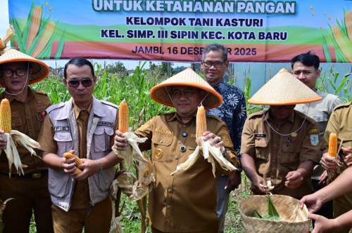 cover Wali Kota Maulana Dorong Pertanian di Kota Jambi Berintegrasi, Mempunyai Nilai Edukatif dan Ekonomi Kreatif