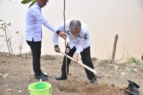 cover Dukung Pelestarian Lingkungan di Sempadan Sungai Batanghari, Pemkot Jambi Ikut Gerakan Tanam Pohon Serentak