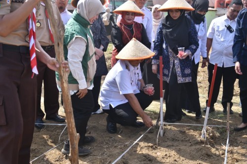 cover Ratusan Anak PAUD Tanam Jagung Bersama Wali Kota  dan Bunda PAUD Kota Jambi