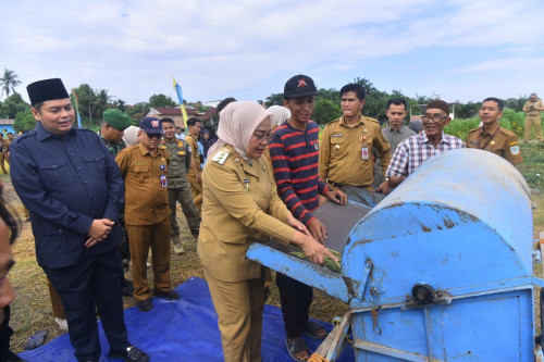 cover Panen Padi Bersama Masyarakat, Pemkot Jambi Optimalkan Keterbatasan Lahan Pertanian