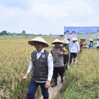 cover Kota Jambi Bulan September 2023 Alami Inflasi Sebesar 1,78%