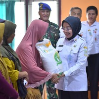 cover Pj Wali Kota Jambi Serahkan Secara Simbolis Bantuan Cadangan Beras Pemerintah (CBP) Tahun 2024 di Kelurahan Thehok