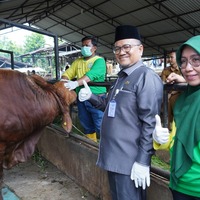 cover Pastikan Kelaikan Hewan Kurban, Wawako Maulana Lepas 40 Petugas Kesehatan Hewan Kota Jambi